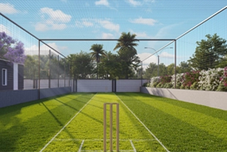 Cricket Pitch